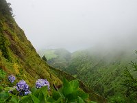 DSC02567